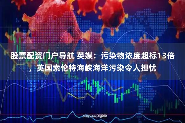 股票配资门户导航 英媒：污染物浓度超标13倍，英国索伦特海峡海洋污染令人担忧
